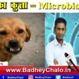 Gali ka Kutta | Dr BRC | Badhey Chalo News