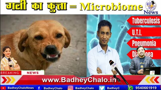 Gali ka Kutta | Dr BRC | Badhey Chalo News