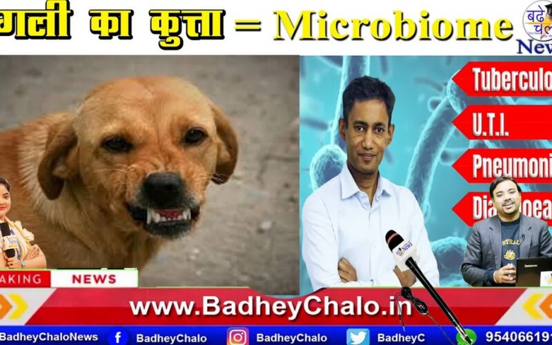 Gali ka Kutta | Dr BRC | Badhey Chalo News